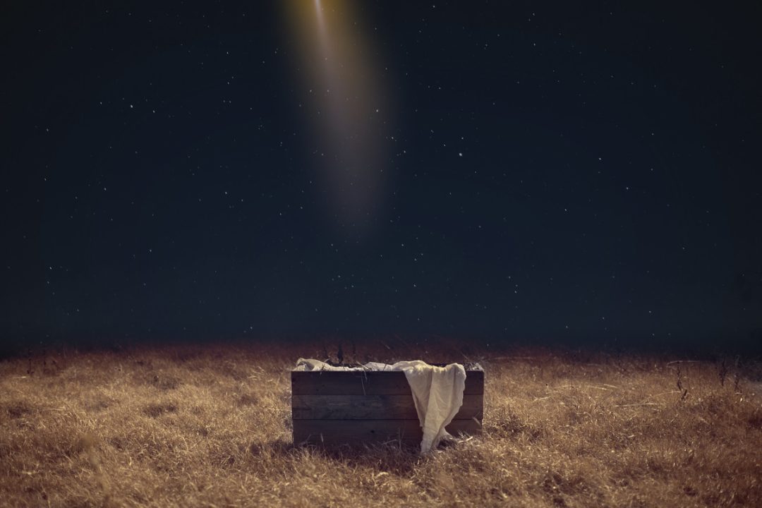 TSBC 2024 Advent Devotional